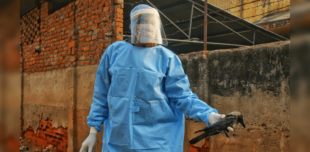 Bird flu: Centre asks states to maintain sufficient stock of PPE kits