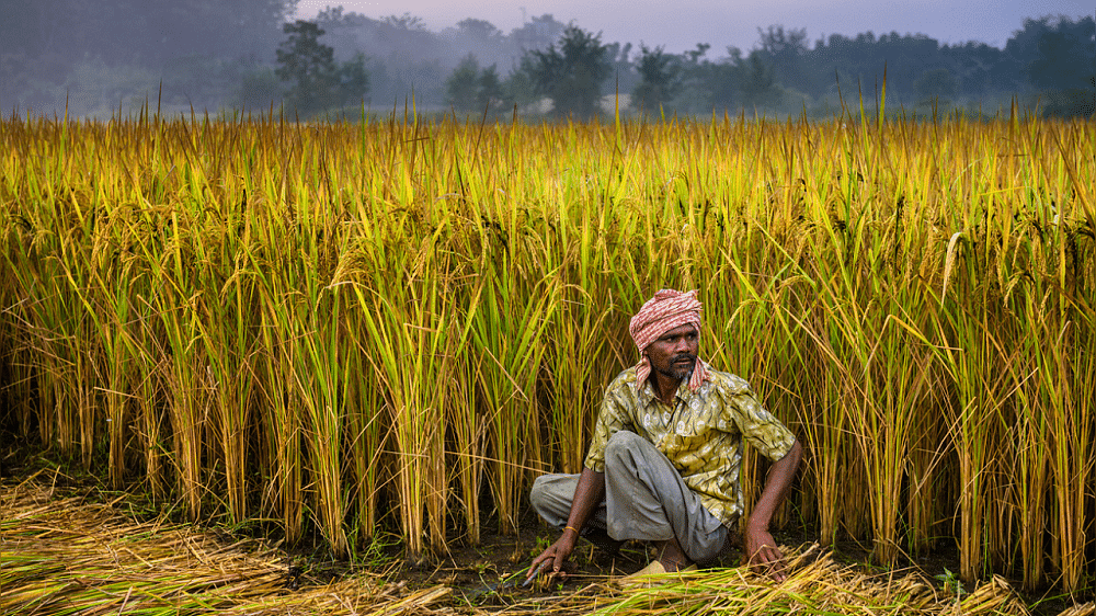 Indian prices hold steady, Thai rates hit 8-month high on stronger baht