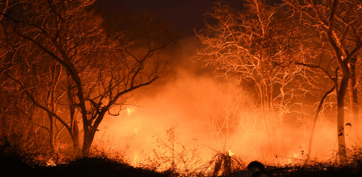 Bandipur Tiger Reserve: Forest department creates fire lines to prevent wildfire