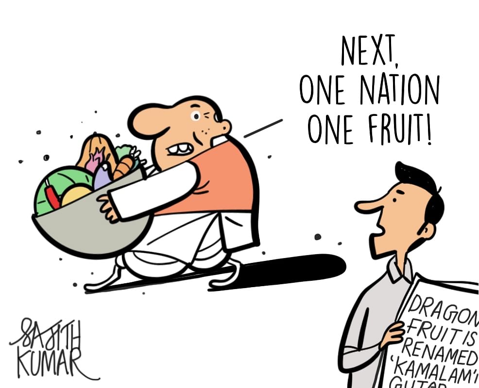 DH Toon | Gujarat govt renames dragon fruit as ‘Kamalam'