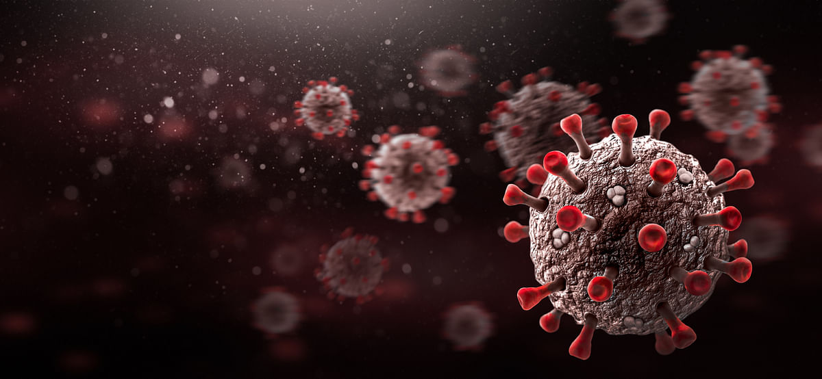 Covid-19 triggers antibodies from previous coronavirus infections, says study