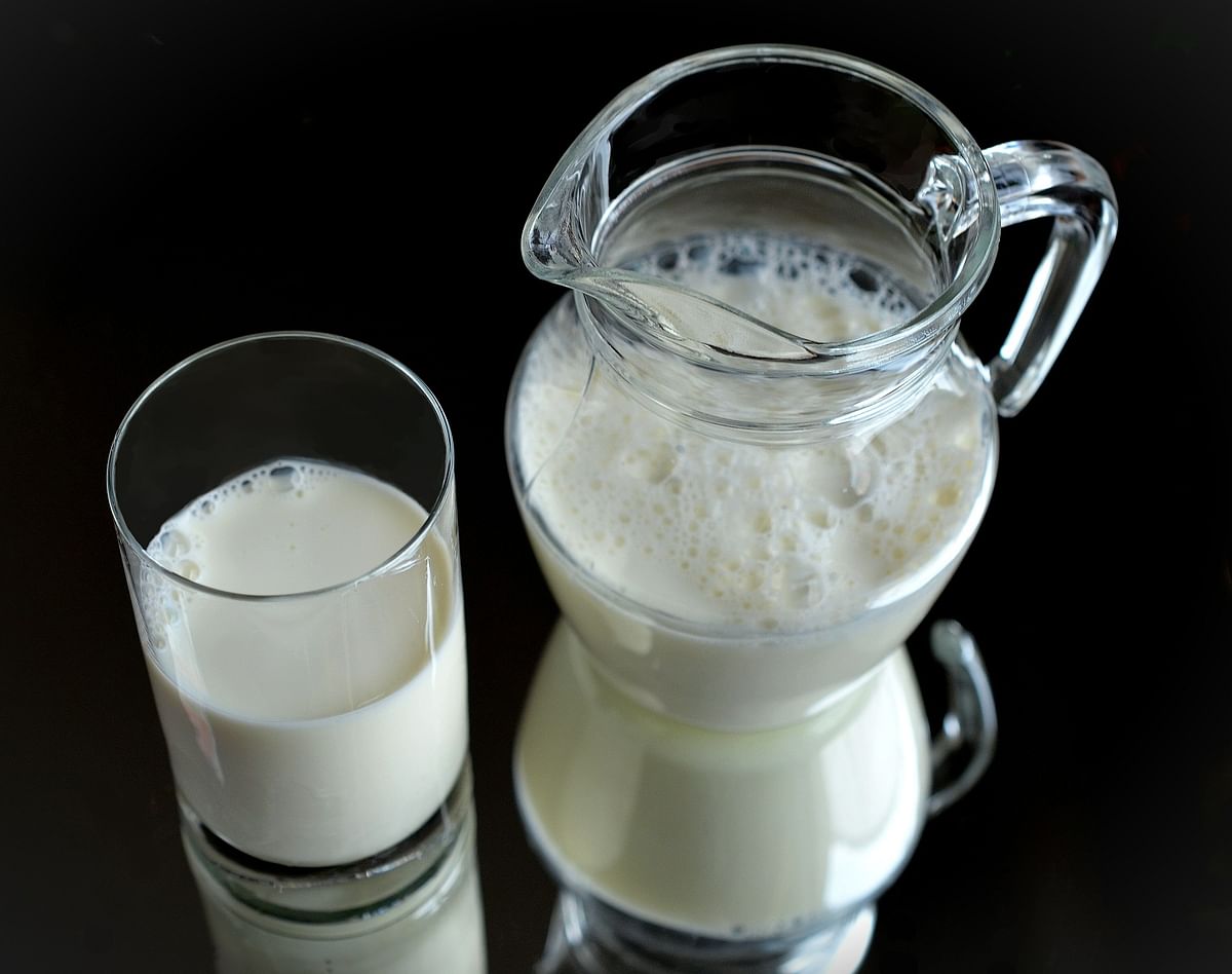 Milk, milk products, edible oil found unsafe at some places in Haryana