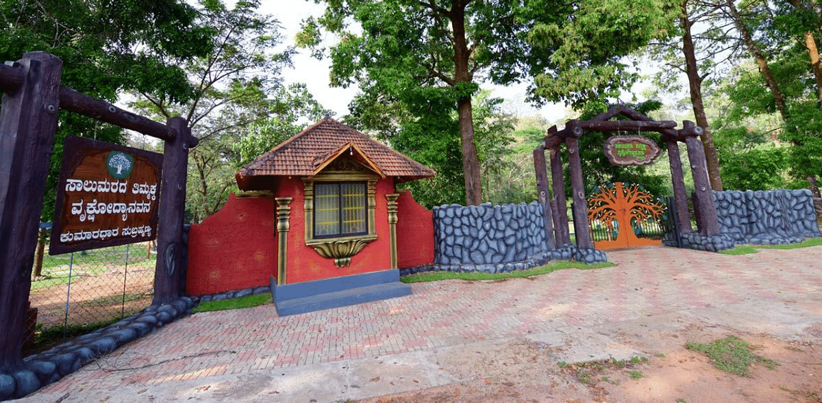Saalumarada Thimmakka Tree Park inaugurated at Subrahmanya