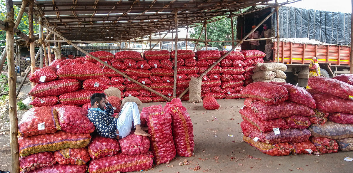 NAFED creates 99,000 tonnes of onion buffer stock, expects 25.2% to get damaged