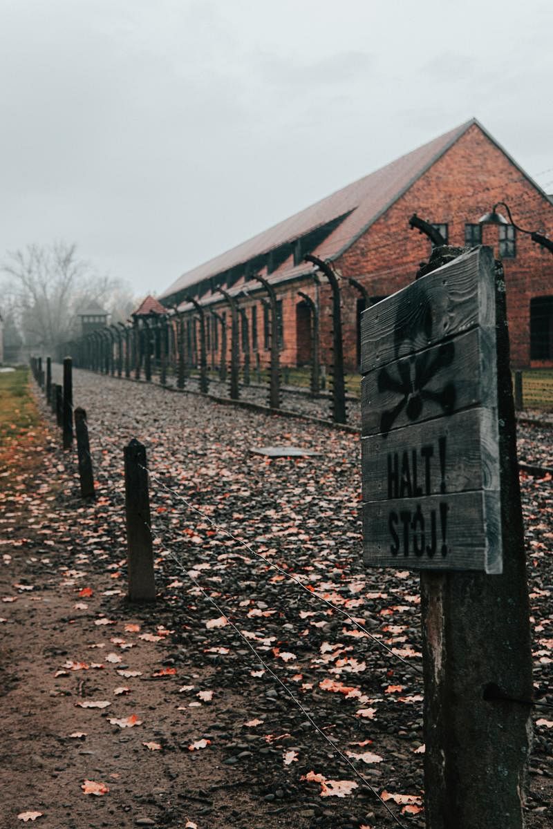 The horrors of Auschwitz