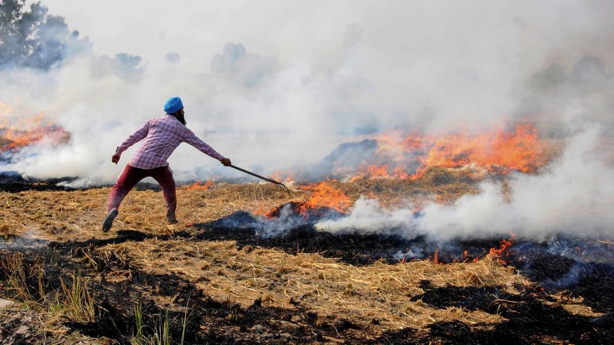 Punjab witnessed 44.5% increase in stubble burning incidents in 2020: Centre tells SC