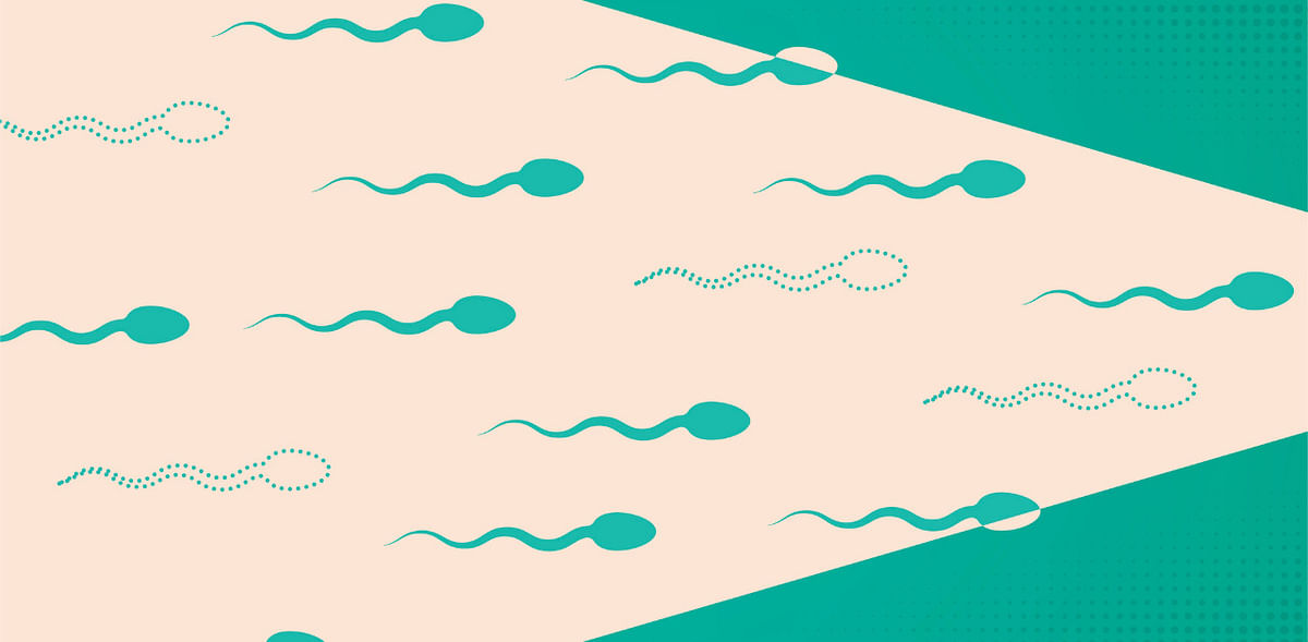 What are sperm telling us?
