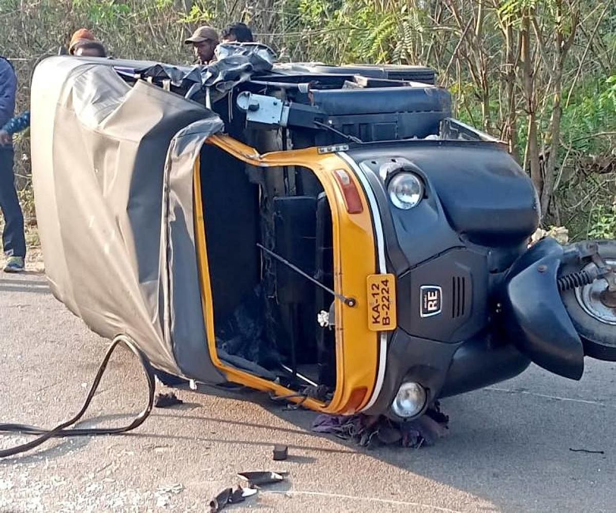 Auto driver injured in elephant attack