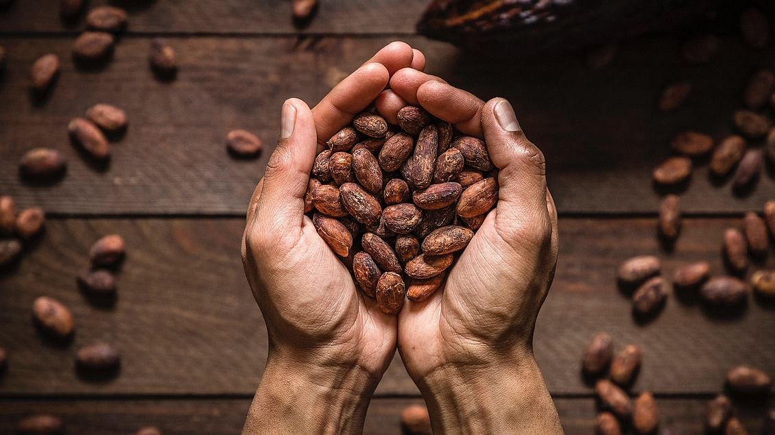 Cocoa industry pins growth hopes on India’s sweet tooth