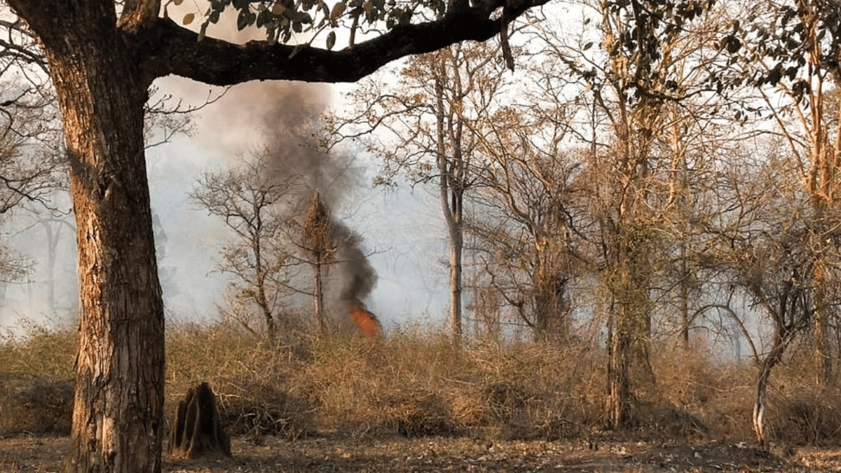 Fire at Nagarahole Tiger Reserve destroys vegetation 