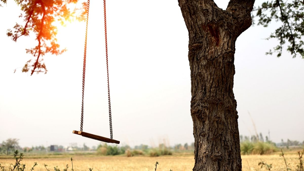 Child gets entangled in swing rope, dies