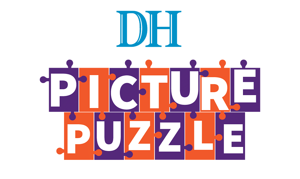 DH Picture Puzzle - Terms & Conditions