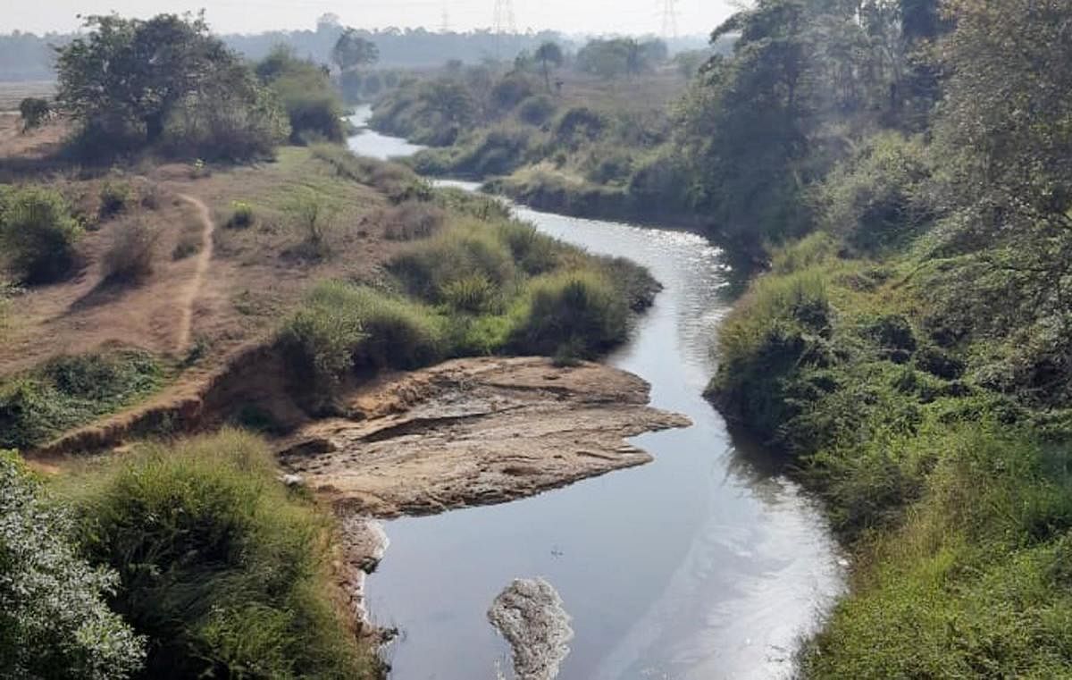 Water recedes in River Lakshmanatheertha
