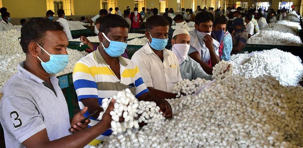 Payment delay keeps silk farmers away from government markets in Karnataka