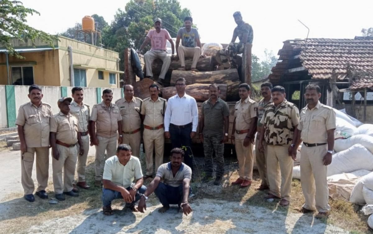 Rosewood worth Rs 30 lakh seized