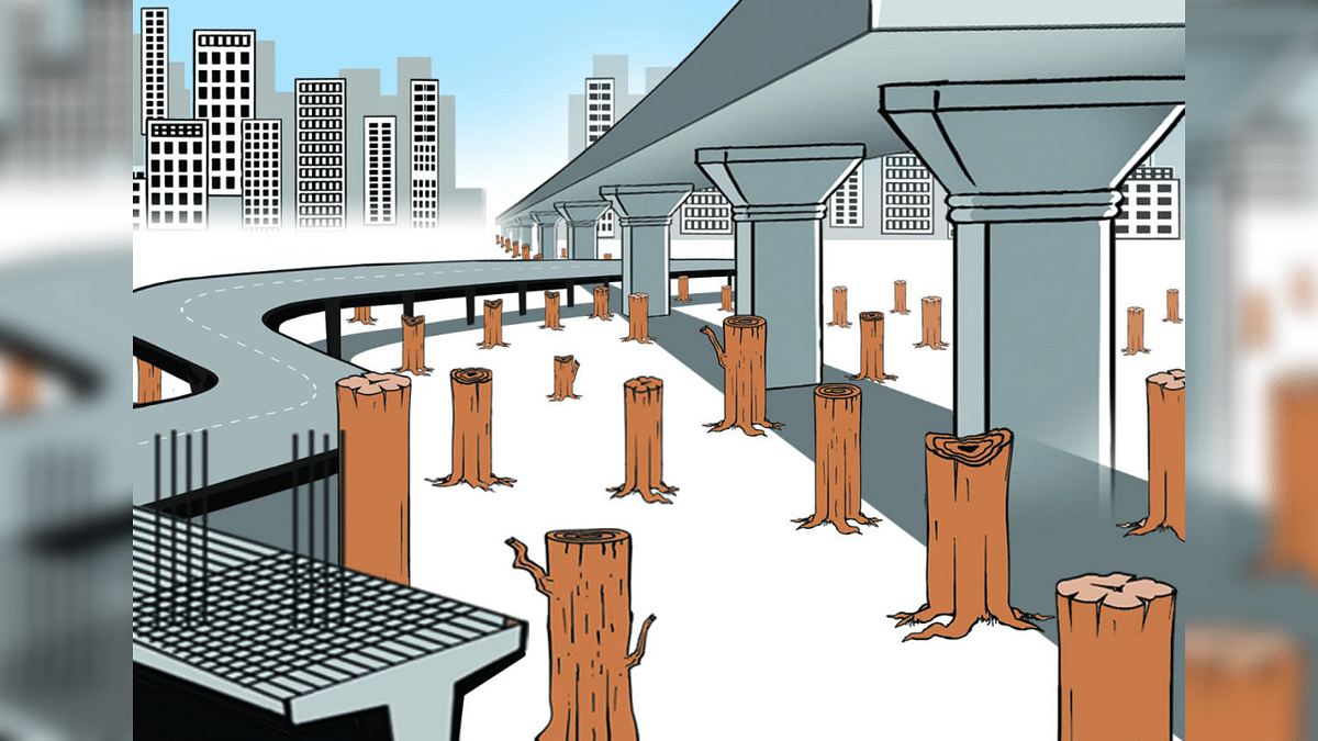 Bengaluru's trees axed in a hurry