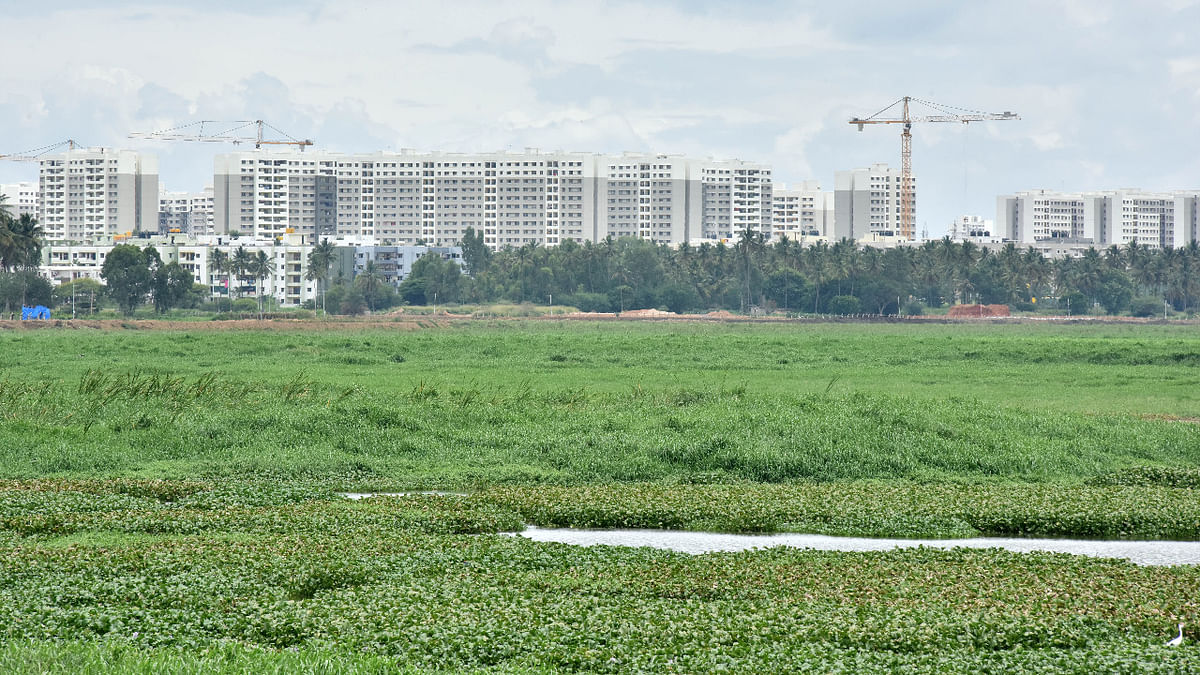 NGT asks Chief Secretary to hold meeting every month to monitor progress of restoration of Bengaluru lakes
