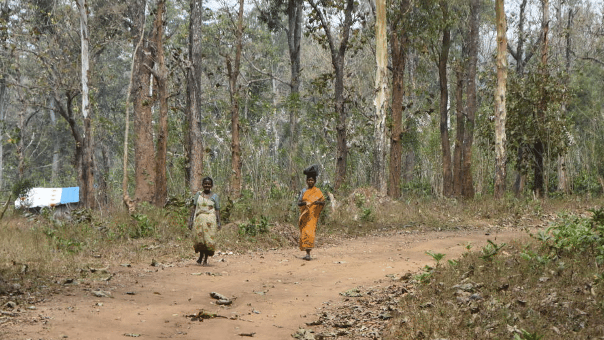 Honey-gathering Jenu Kuruba tribe protests against eviction from Nagarhole National Park