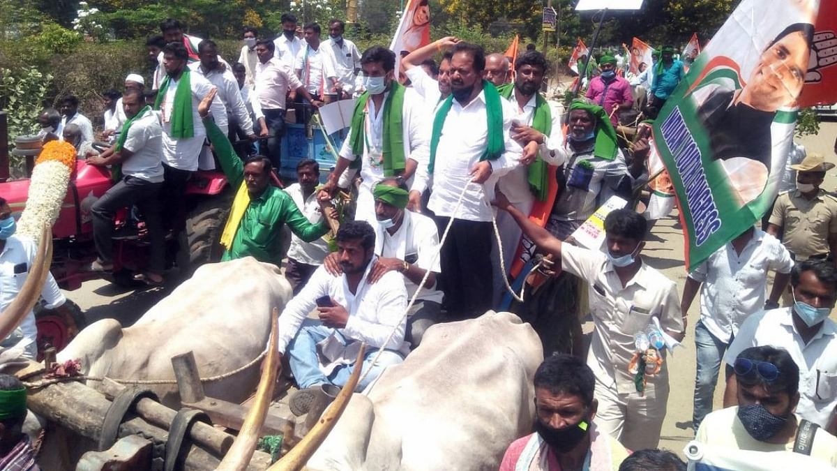 Congress stages protest in Mandya over MySugar factory, farm laws