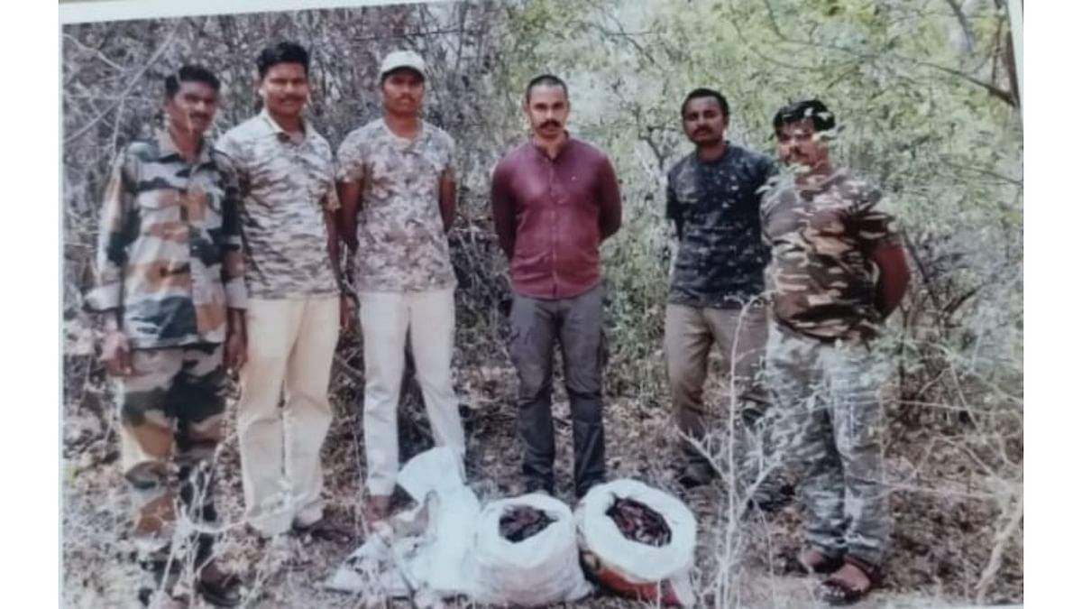 Poachers hunt deer, flee after seeing forest personnel in Cauvery Wildlife Sanctuary
