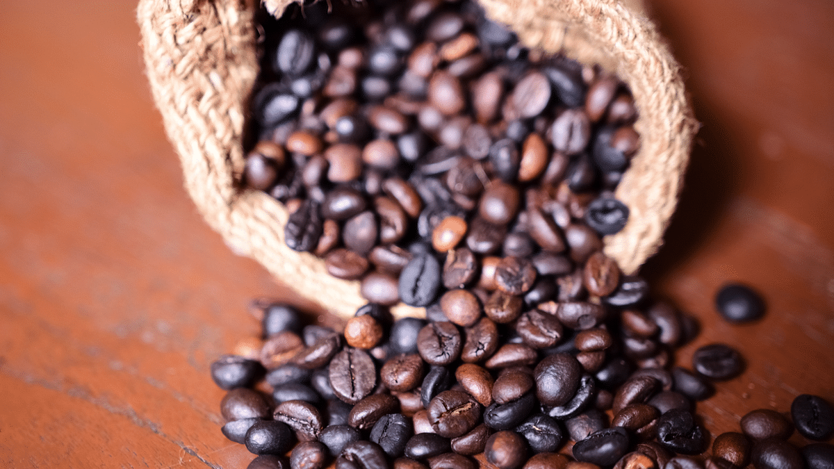 India's coffee exports drop by 5.07% in FY21 as lockdowns across Europe impact trade