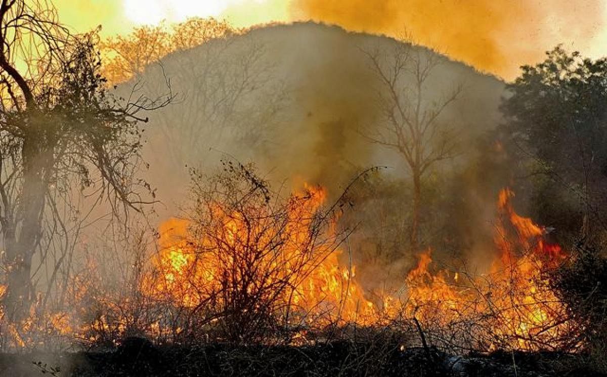 Fire at Bandipur Tiger Reserve forest range
