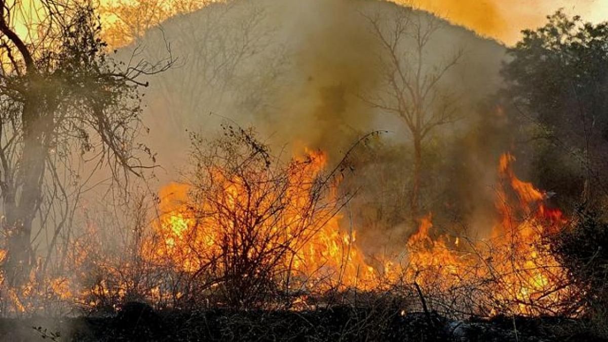 Fire breaks out at Maddur forest range