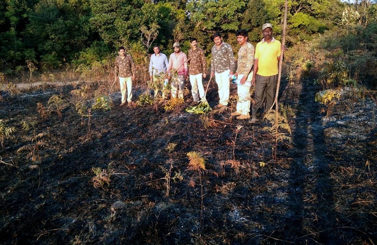 Fire in Kotebetta destroys grassland