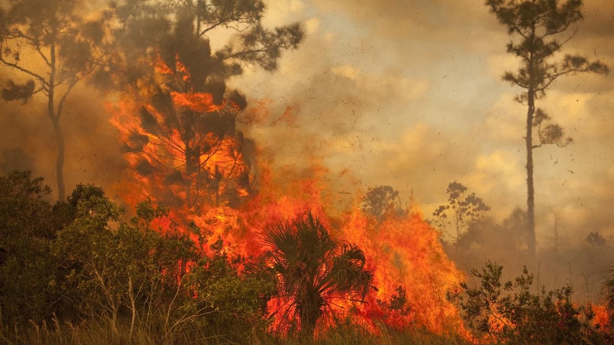What stops us from controlling forest fires?