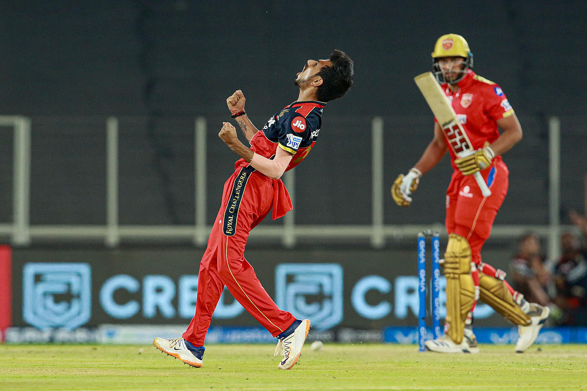 Chahal's place not under scanner: RCB coach Katich defends out-of-form spinner