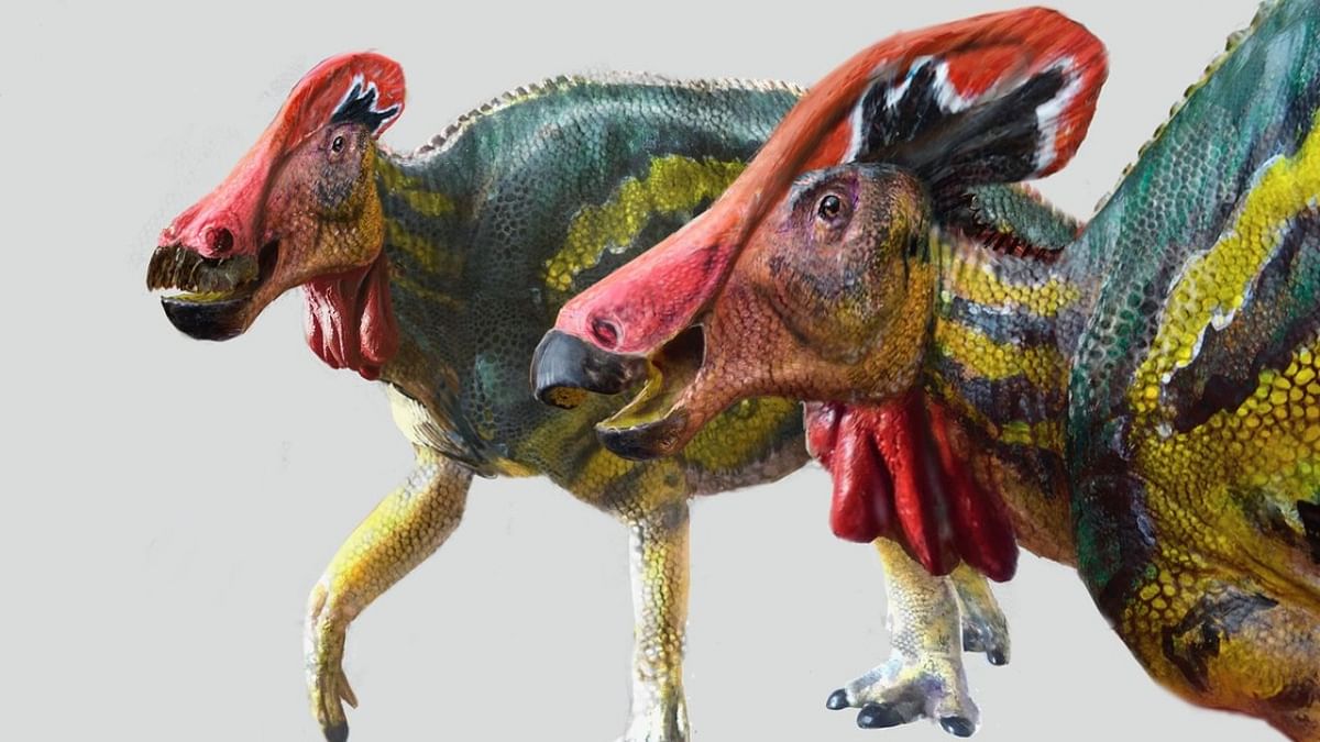 Mexican palaeontologists identify new 'talkative' dinosaur species