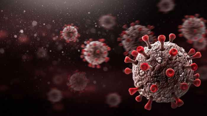 Drug that blocks multiple coronavirus variants in mice identified