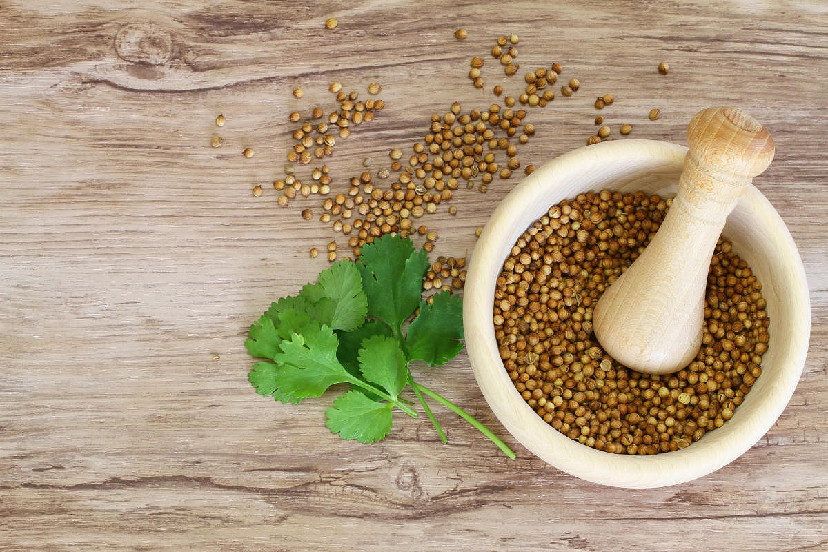 Why is coriander considered a superfood?