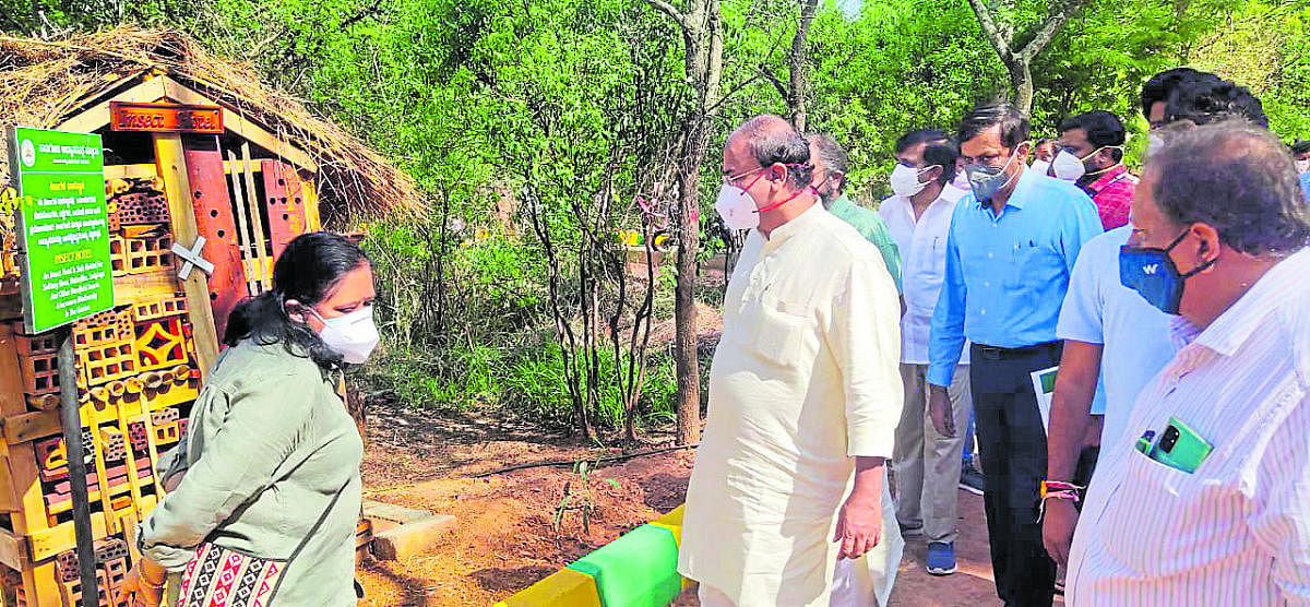 Karnataka govt working on sprawling tree park in Kadugodi; NGOs do their bit too