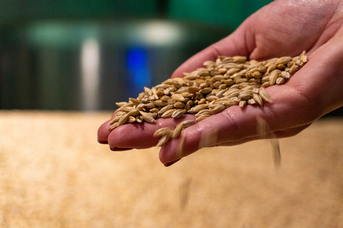 Karnataka sets 135.8 lakh tonnes food grains target