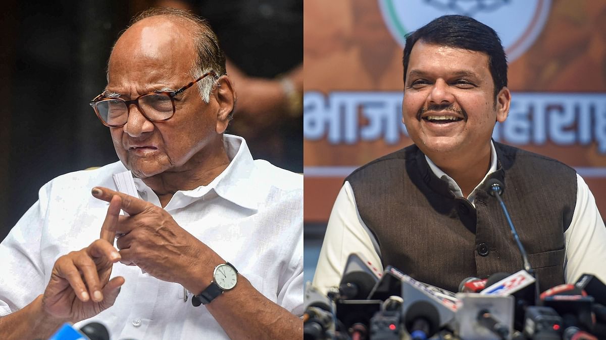 Lok Sabha Elections 2024: NCP (SP), BJP to fight it out in Maharashtra's Madha