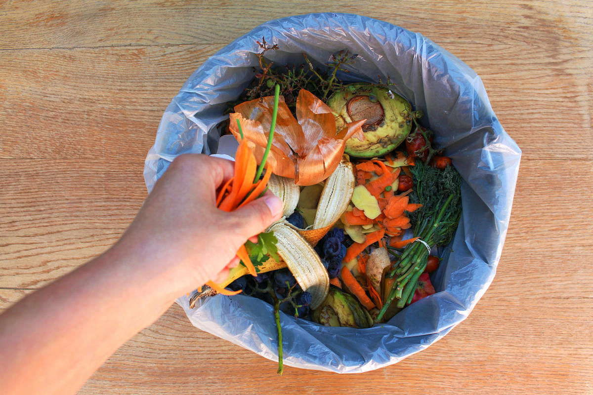 Ways to transform food scraps
