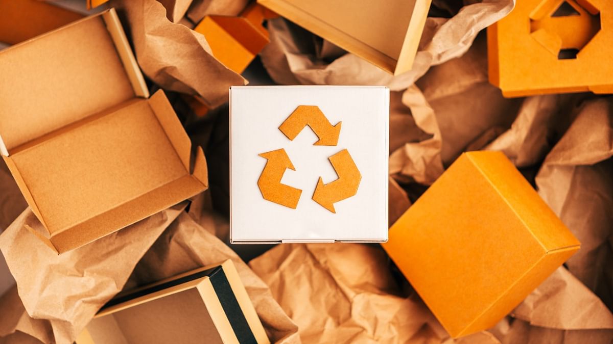 Sustainable packaging industry may grow by 4-6%; to reach 770-800 KT by 2024