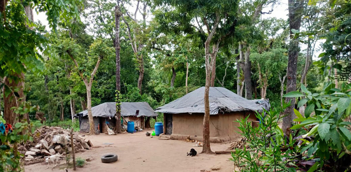 For tribals, basic amenities still a distant dream