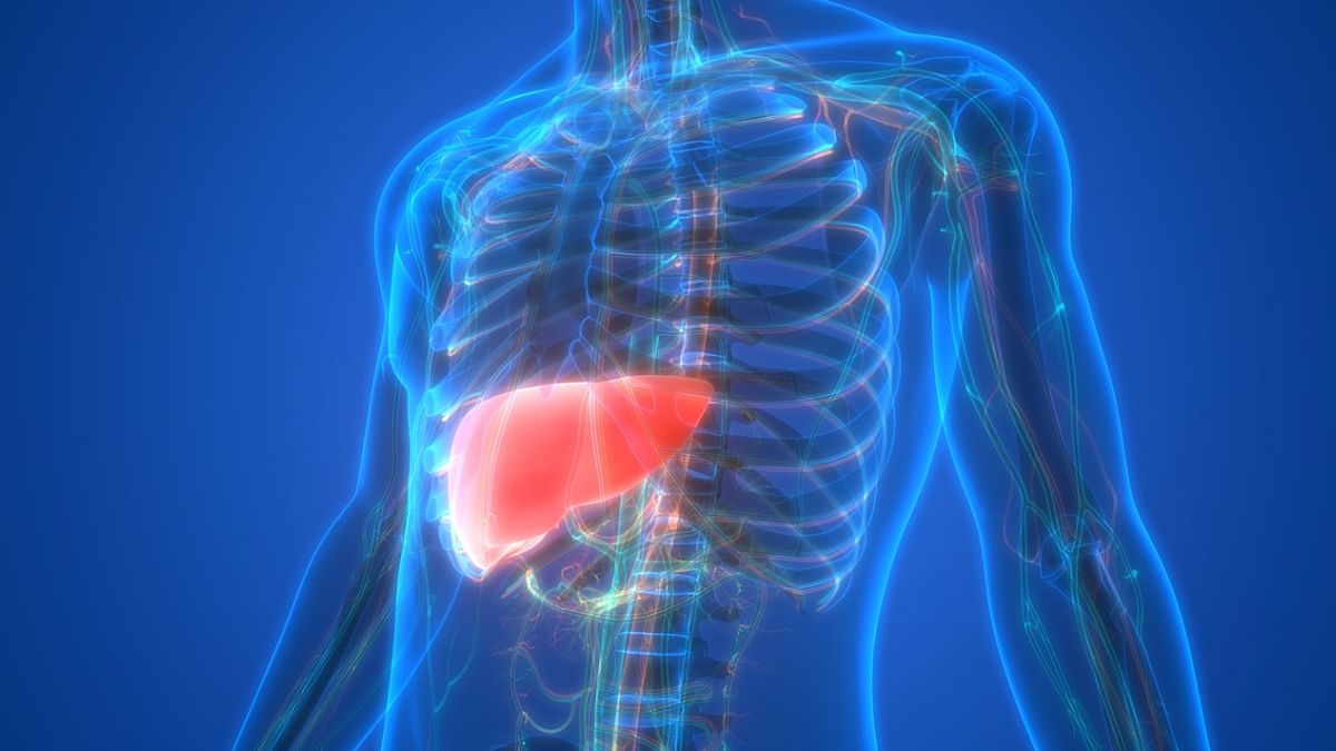 IIT Mandi discover molecular mechanism by which excess sugar consumption causes fatty liver disease