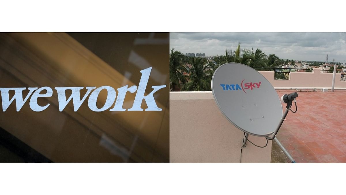 WeWork India signs 1-year deal with Tata Sky Broadband