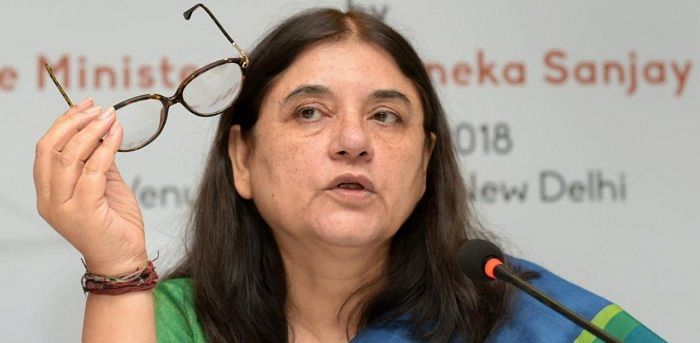 Agra vet gets 'abusive call' from Maneka Gandhi, colleagues protest