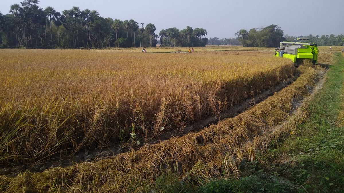 Kharif crop sowing to pick up with wider monsoon coverage