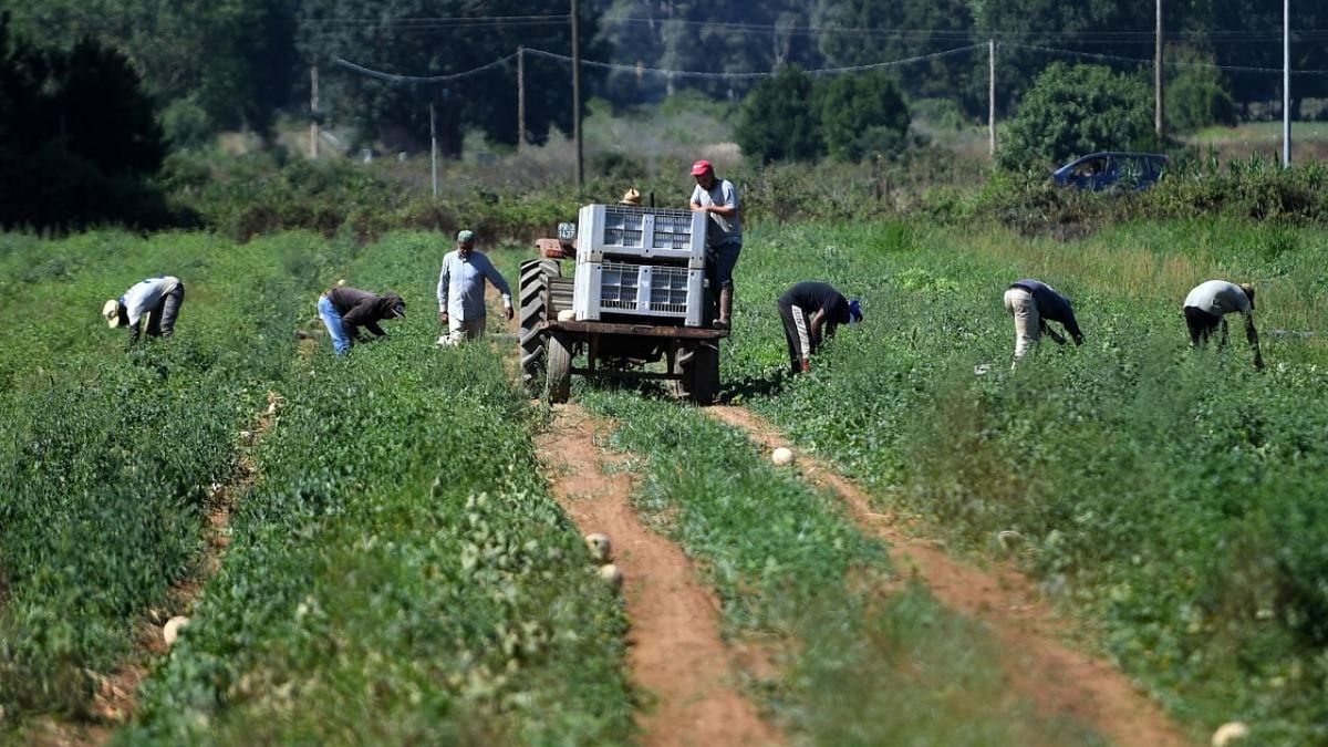 Six years a slave: Indian farm workers exploited in Italy