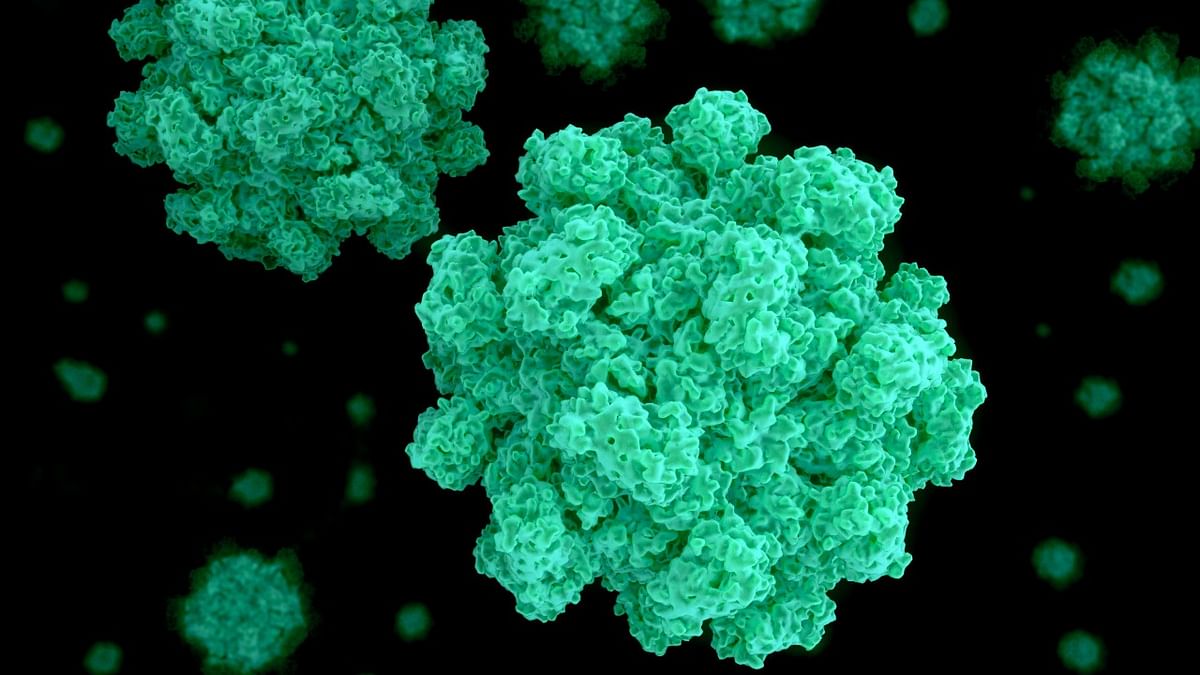 Explained: Norovirus and its similarities with coronavirus