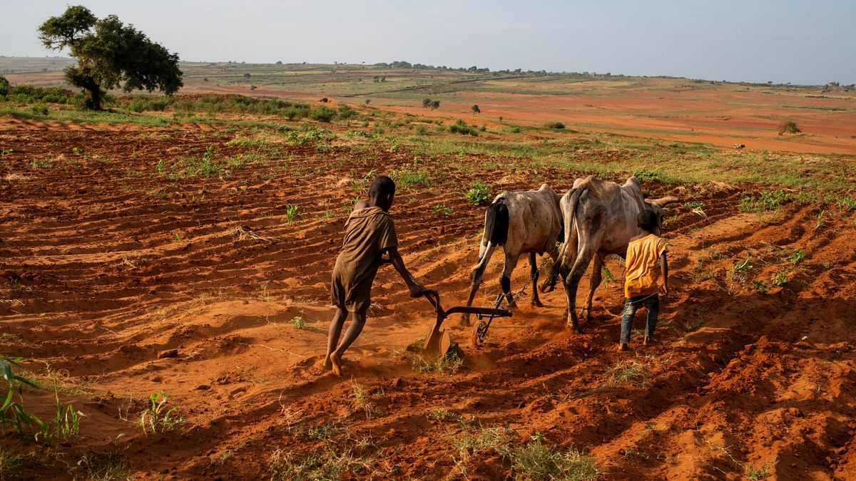 'Nothing left' for people in famine-struck southern Madagascar