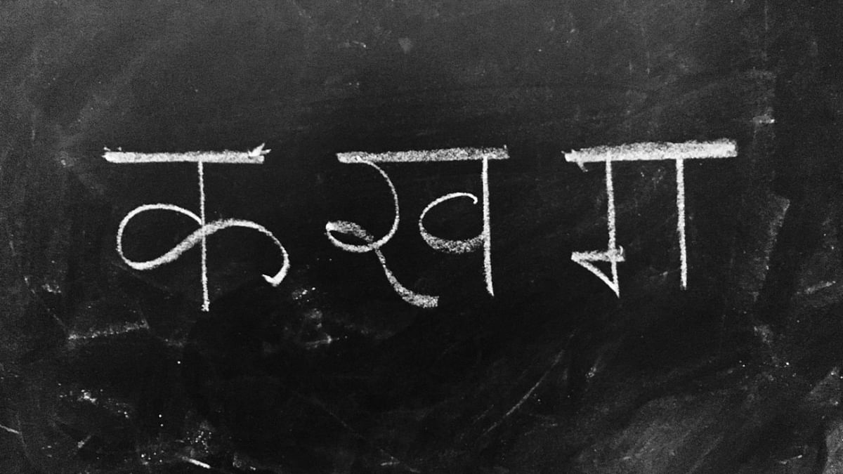 Hindi among top 5 languages spoken by Asian Americans: Expert