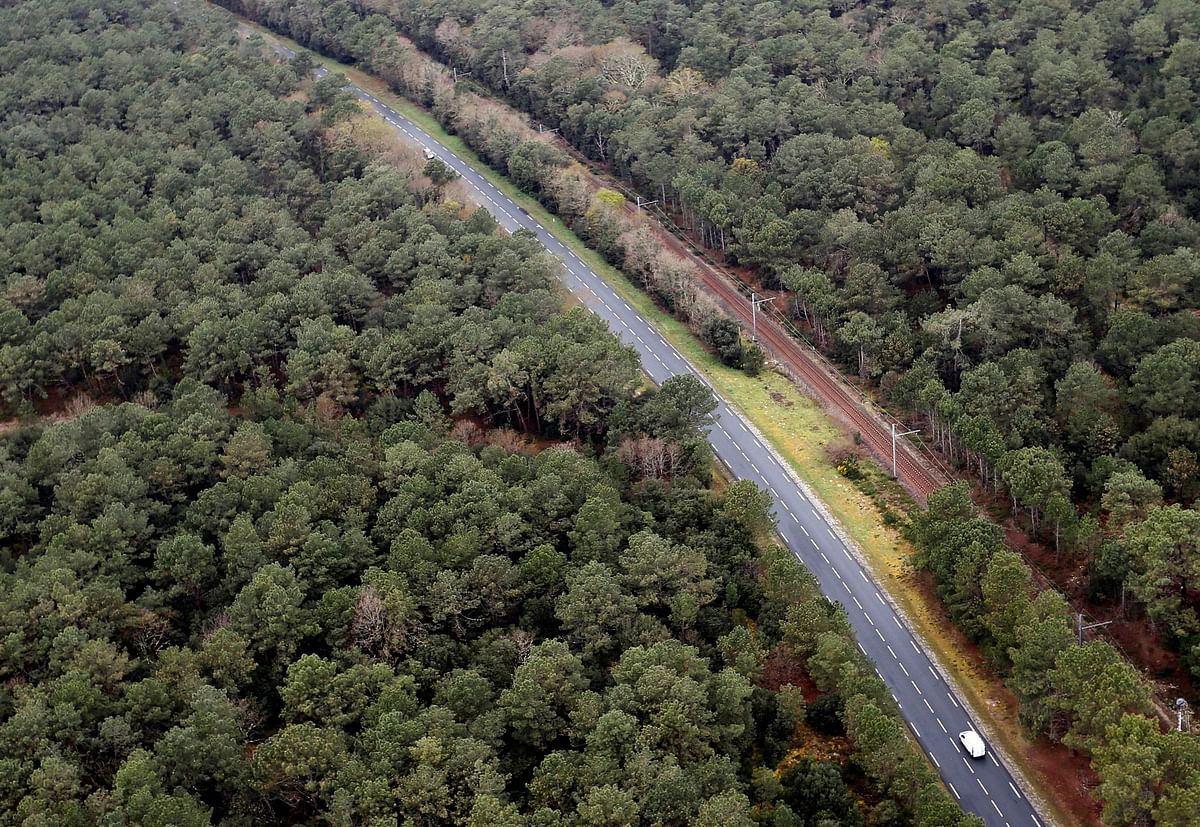 Road transport minisry shows 'technique' to bend forest rules