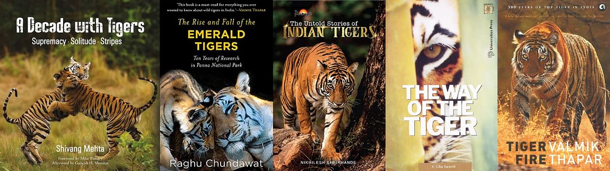 5 books on tigers