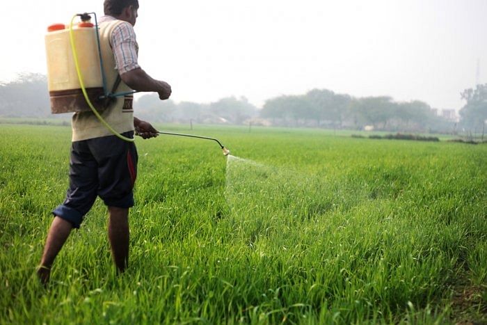 Fertiliser stock will be cleared at old price: DVS
